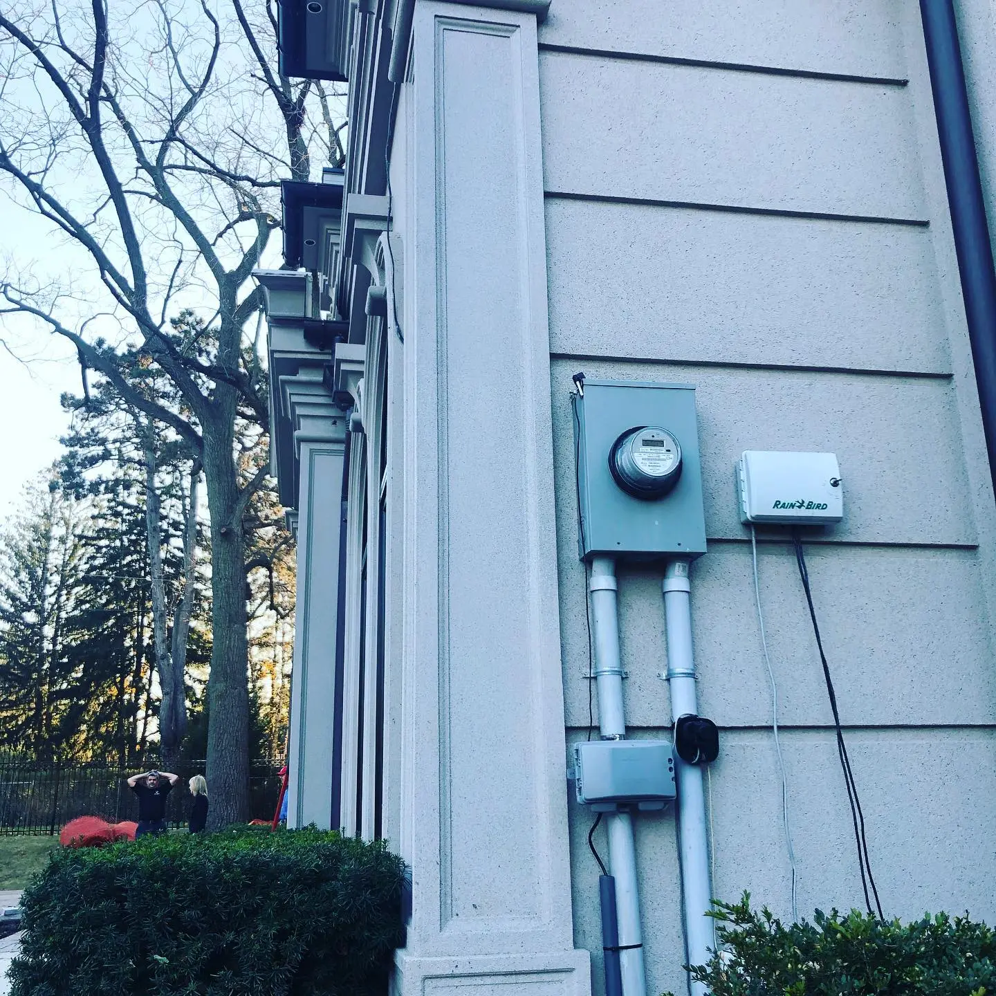 Cream wall with a vertical trim band and an electrical meter, trees behind