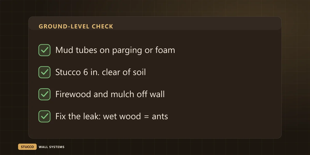 Ground-level checklist for insects in a stucco wall: look for mud tubes on parging or foam, keep stucco six inches clear of soil, move firewood and mulch off the wall, fix leaks that wet the wood